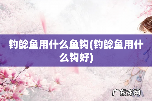 钓鲶鱼用什么钩好 钓鲶鱼用什么鱼钩
