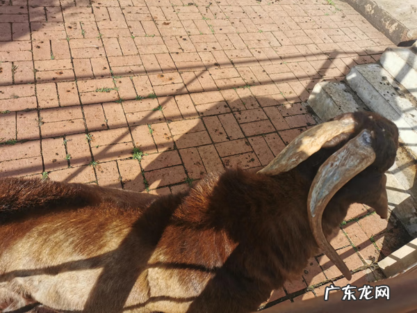 水泥板围墙多少钱一米 水泥漏缝板多少钱一平米