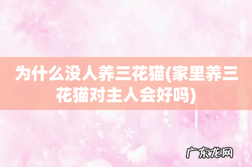 家里养三花猫对主人会好吗 为什么没人养三花猫