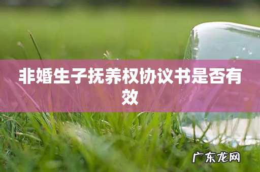 非婚生子抚养权协议书是否有效