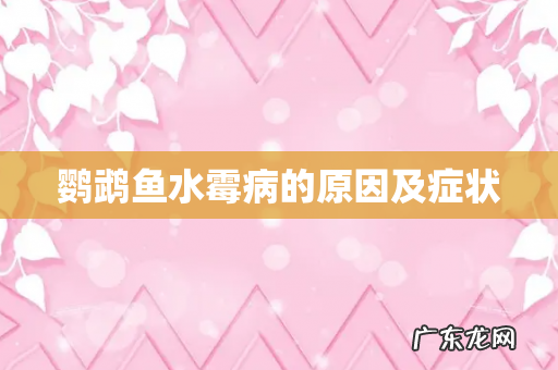 鹦鹉鱼水霉病的原因及症状