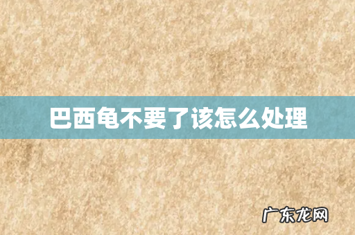 巴西龟不要了该怎么处理