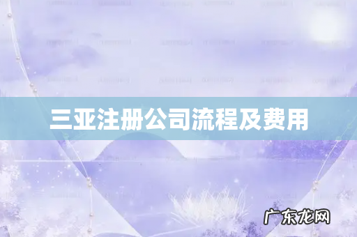 三亚注册公司流程及费用