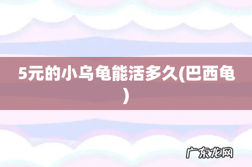 巴西龟 5元的小乌龟能活多久