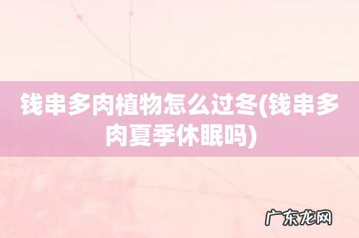 钱串多肉夏季休眠吗 钱串多肉植物怎么过冬