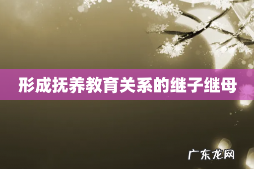 形成抚养教育关系的继子继母