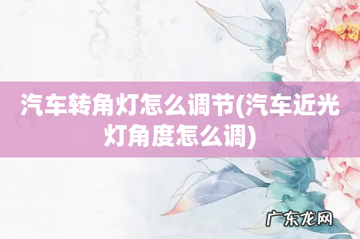 汽车近光灯角度怎么调 汽车转角灯怎么调节