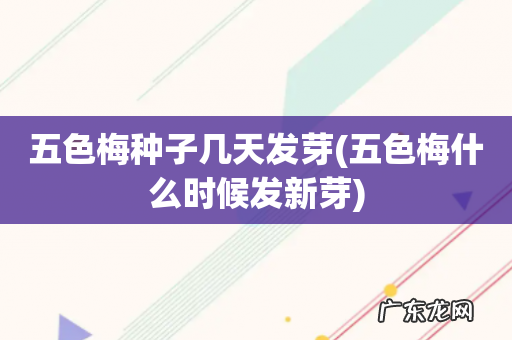 五色梅什么时候发新芽 五色梅种子几天发芽