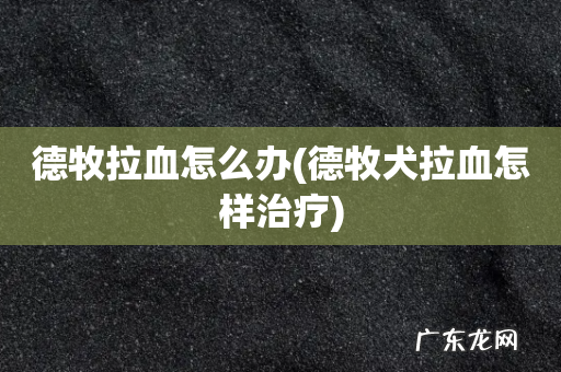德牧犬拉血怎样治疗 德牧拉血怎么办