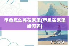 甲鱼在家里如何养 甲鱼怎么养在家里