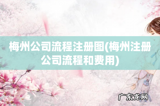 梅州注册公司流程和费用 梅州公司流程注册图