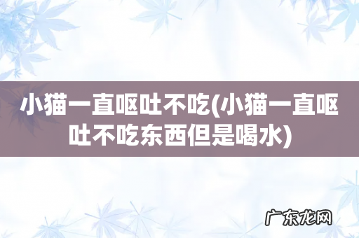 小猫一直呕吐不吃东西但是喝水 小猫一直呕吐不吃