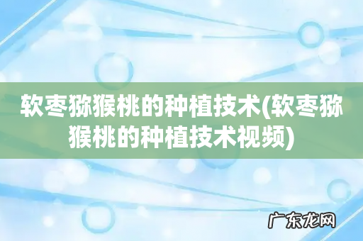 软枣猕猴桃的种植技术视频 软枣猕猴桃的种植技术