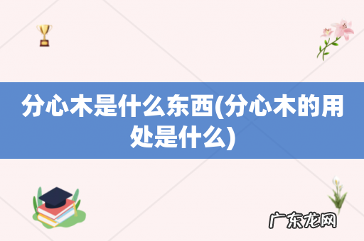 分心木的用处是什么 分心木是什么东西
