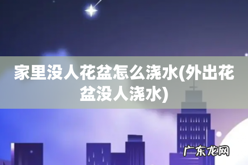 外出花盆没人浇水 家里没人花盆怎么浇水