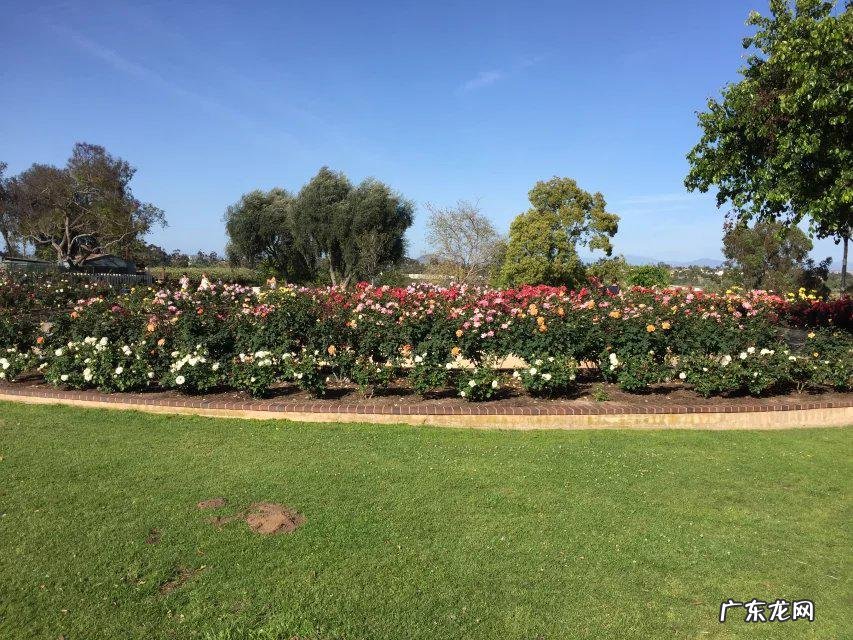 美国mba 美国MBA申请条件