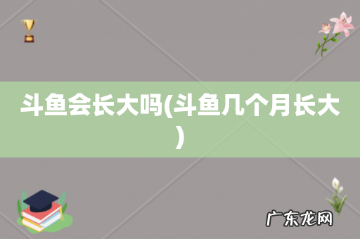斗鱼几个月长大 斗鱼会长大吗