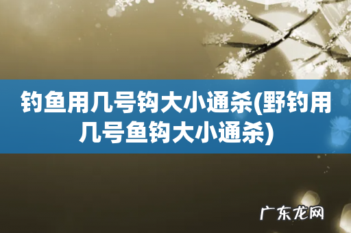 野钓用几号鱼钩大小通杀 钓鱼用几号钩大小通杀