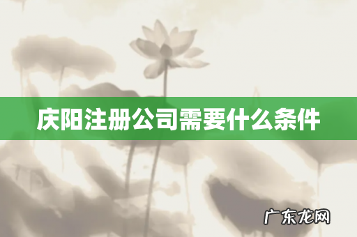 庆阳注册公司需要什么条件