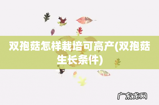 双孢菇生长条件 双孢菇怎样栽培可高产