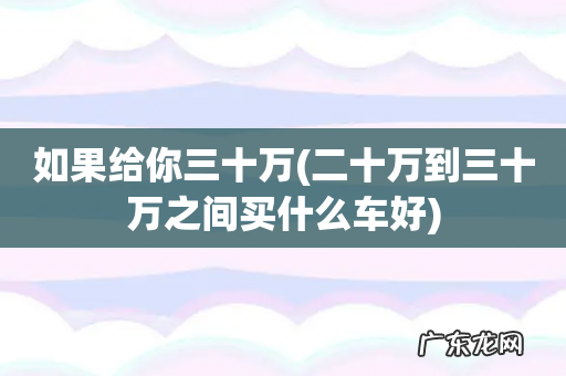 二十万到三十万之间买什么车好 如果给你三十万