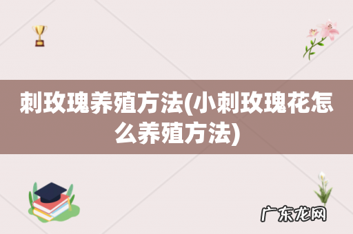 小刺玫瑰花怎么养殖方法 刺玫瑰养殖方法