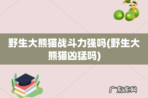 野生大熊猫凶猛吗 野生大熊猫战斗力强吗