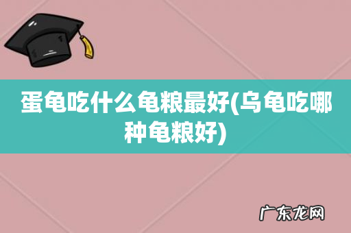 乌龟吃哪种龟粮好 蛋龟吃什么龟粮最好