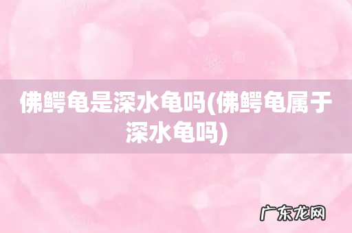 佛鳄龟属于深水龟吗 佛鳄龟是深水龟吗