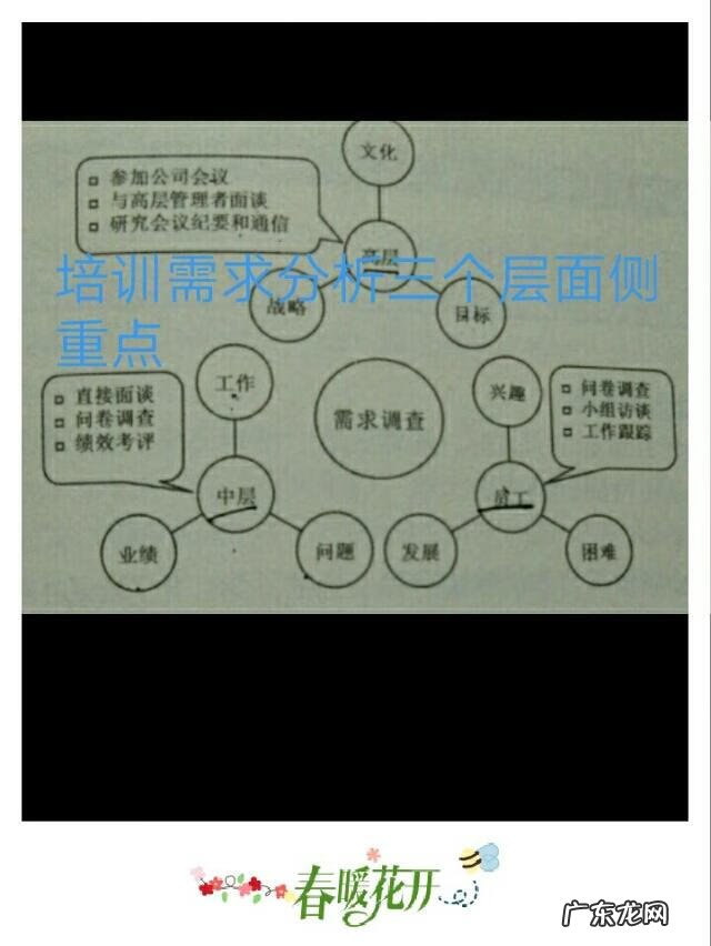 个人培训需求内容 培训需求分析