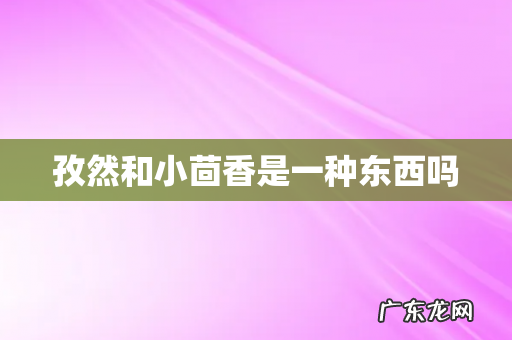 孜然和小茴香是一种东西吗