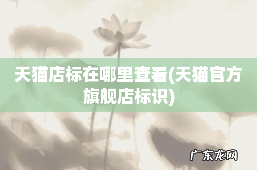 天猫官方旗舰店标识 天猫店标在哪里查看