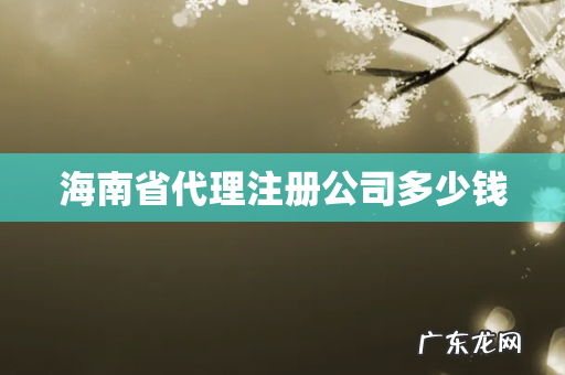 海南省代理注册公司多少钱