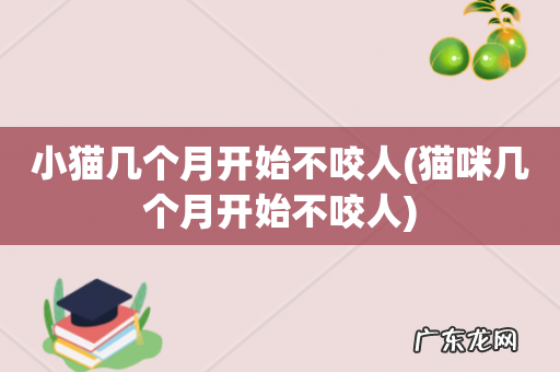 猫咪几个月开始不咬人 小猫几个月开始不咬人