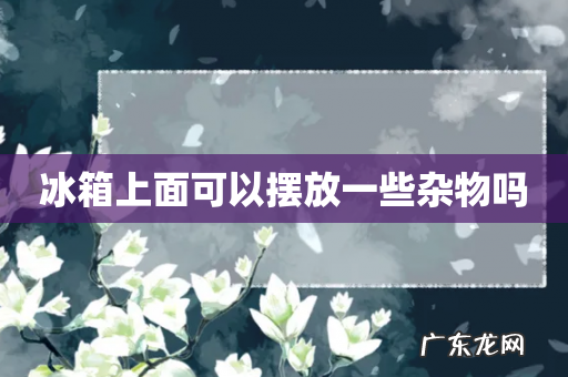 冰箱上面可以摆放一些杂物吗