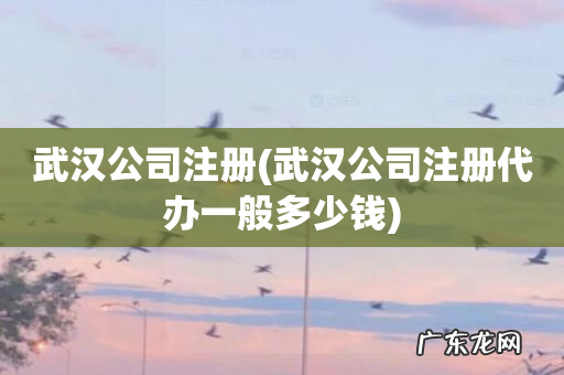 武汉公司注册代办一般多少钱 武汉公司注册
