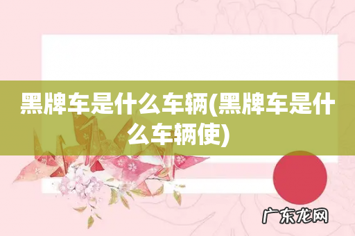 黑牌车是什么车辆使 黑牌车是什么车辆
