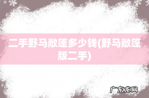 野马敞篷版二手 二手野马敞篷多少钱