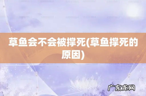 草鱼撑死的原因 草鱼会不会被撑死