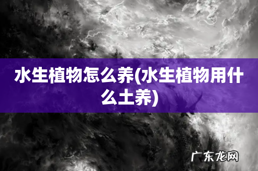 水生植物用什么土养 水生植物怎么养