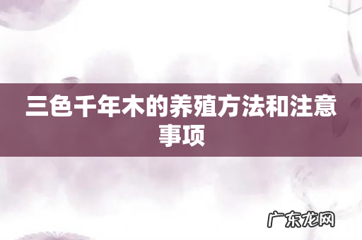 三色千年木的养殖方法和注意事项