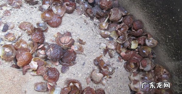 自己熬制洗发水 自制中药洗发水有用吗