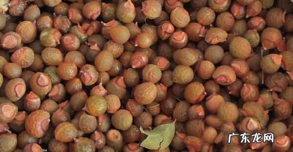 自己熬制洗发水 自制中药洗发水有用吗