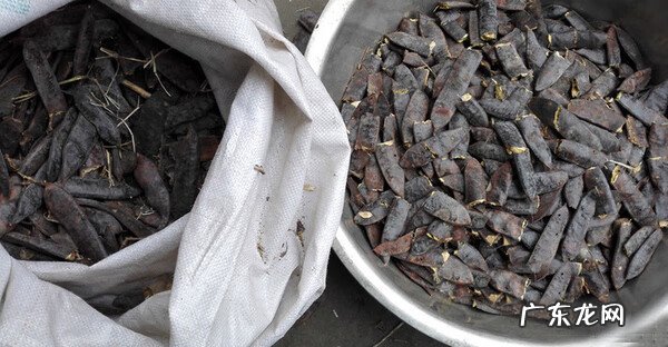 自己熬制洗发水 自制中药洗发水有用吗