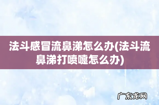 法斗流鼻涕打喷嚏怎么办 法斗感冒流鼻涕怎么办
