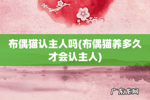 布偶猫养多久才会认主人 布偶猫认主人吗