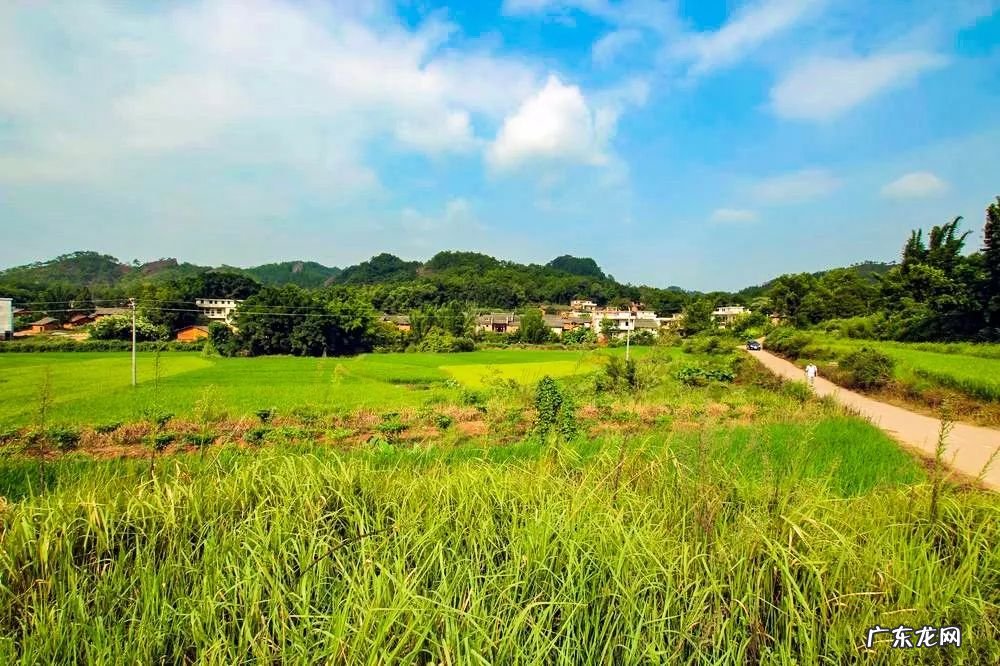 祠堂方位风水讲究 老祠堂风水图解论坛