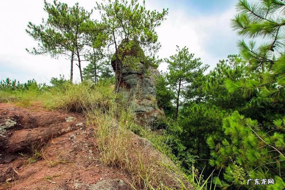 祠堂方位风水讲究 老祠堂风水图解论坛