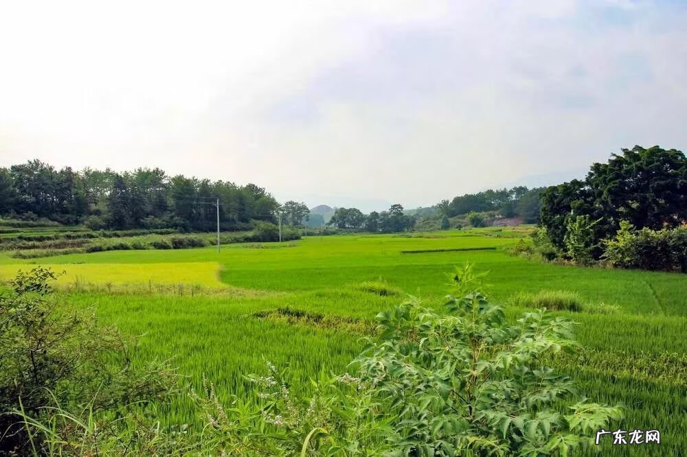 祠堂方位风水讲究 老祠堂风水图解论坛