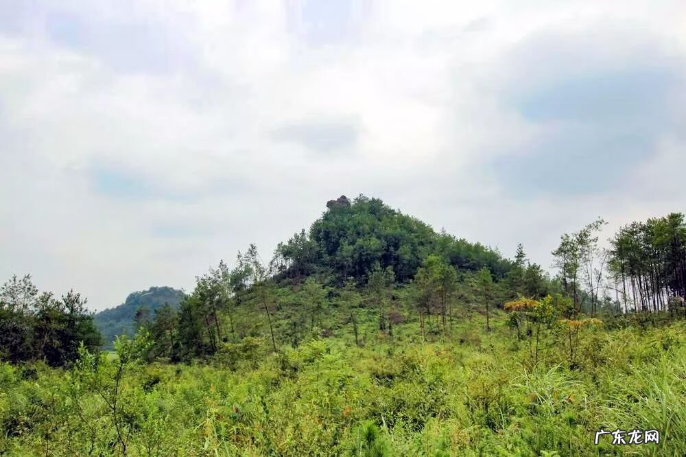 祠堂方位风水讲究 老祠堂风水图解论坛